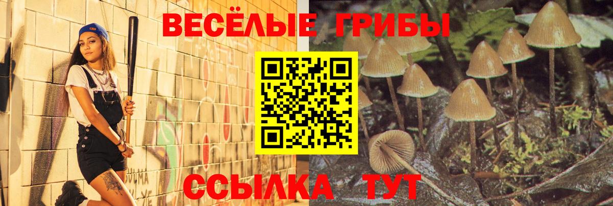 Галлюциногенные грибы MAGIC MUSHROOMS  купить   Галлюциногенные грибы ЛСД  Михайловск  Вход с VPN 