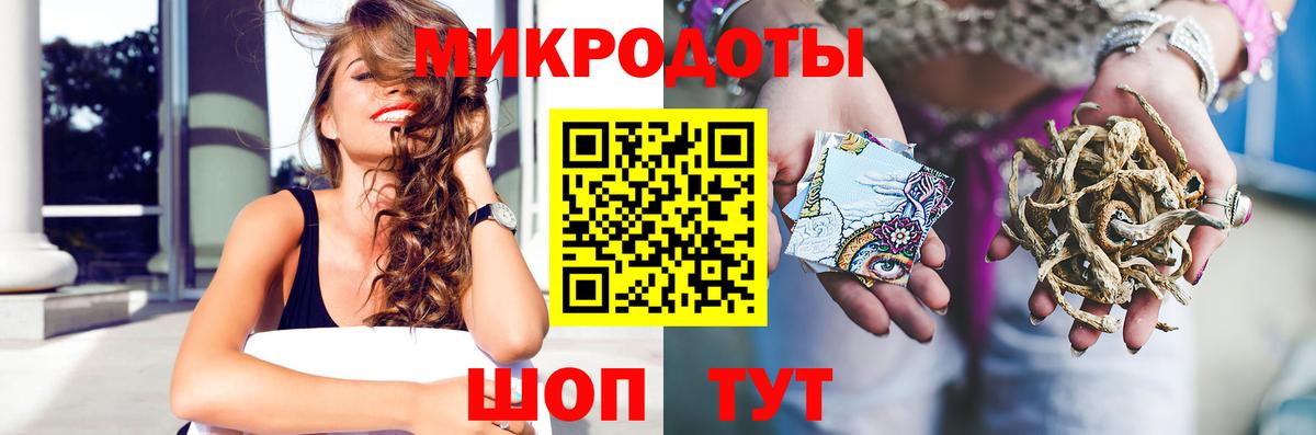 Псилоцибиновые грибы Psilocybe Михайловск