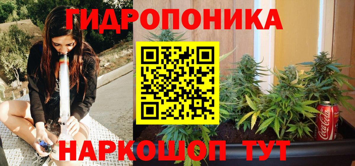 Бошки марихуана индика Михайловск